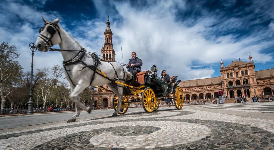 Manual testing imagined as horse cart